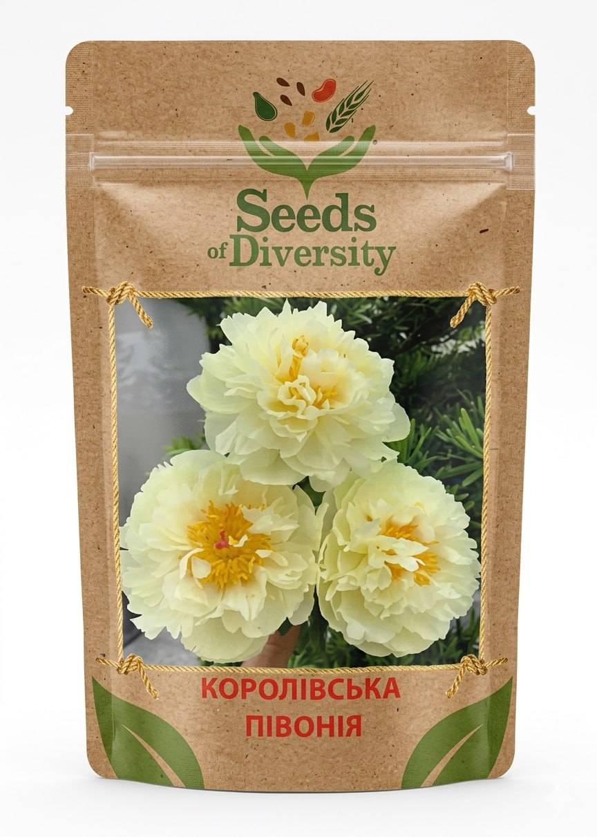 Насіння королевської півонії
